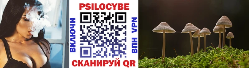 что такое наркотик  Сенгилей  Псилоцибиновые грибы Cubensis 