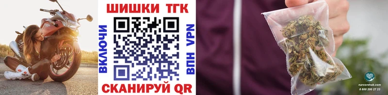 где продают   Сенгилей  Конопля семена 